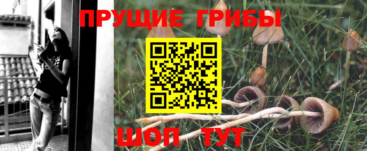 Галлюциногенные грибы Psilocybe  хочу   Галлюциногенные грибы MAGIC MUSHROOMS  Лосино-Петровский  Вход с VPN 